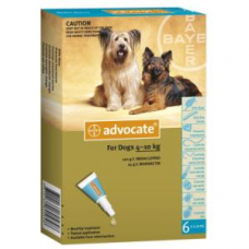 アドボケート小型犬用（4-10kg)６本