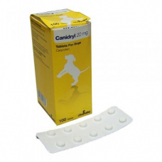 カニドリル20mgフレーバータイプ50錠