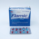 フラミック（ピロキシカム10mg)100カプセル