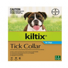 キルティックス