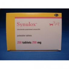 シヌロックス250mg30錠