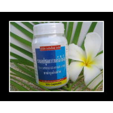 白ガウクルアバイオカプセル（６０カプセル）