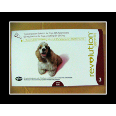 レボリューション中型犬用（10-20kg）６本