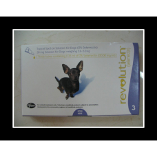 レボリューション超小型犬用（2.5-5kg）６本